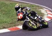 Olivier dans parabolique