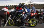Olivier stand, cliquez pour agrandir