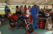 Stand Paddock